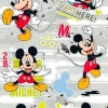 Stickervel Mickey Mouse