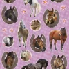 Stickervel paarden