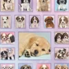 Stickervel puppies
